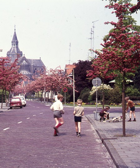 Haasje over & hinkelen