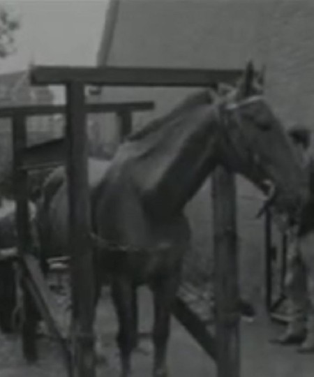 Filmstill uit Dorpsfilm Halsteren, 1965 (collectie West-Brabants Archief nr. BGMON00201)