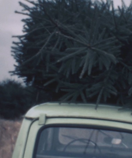 Kerstboom op auto