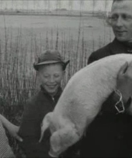 Filmstill uit Polygoonjournaal