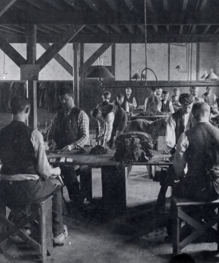 Dekbewerking sigaren, 1905