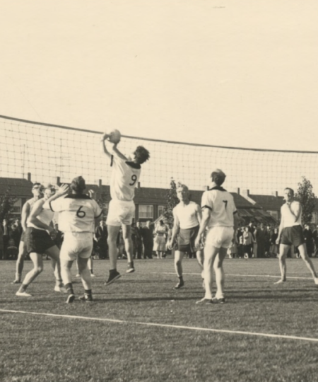 Volleybal
