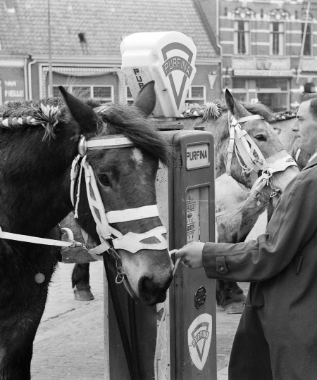 Paardenmarkt op de Heuvel, Oss (foto: Daan Scholte, collectie Stadsarchief Oss nr. DSN1366_44992