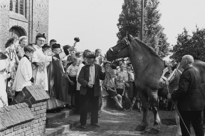 Inzegening van paarden, Esch 1952