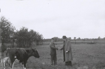 En ook de laatste koe wordt verkocht