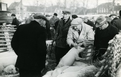Weekmarkt met biggen, Uden 1959