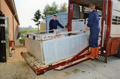 Varkens laden met een liftbak, Nistelrode 2007