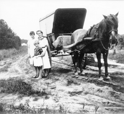 paard en wagen