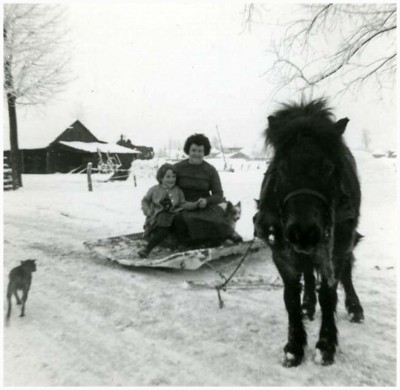 paardenslee