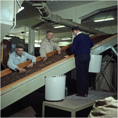 Drie werknemers aan het werk bij Velasques. Veldhoven, ca. 1955-1970