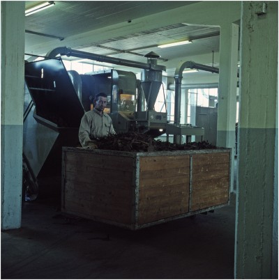 Een medewerker aan het werk bij Velasques. Veldhoven, ca. 1955-1970