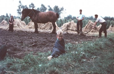 Werken op het land, Den Dungen 1957