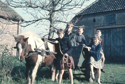 Kinderen zitten op de ponywagen, Den Dungen