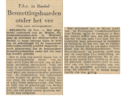 De Volkskrant, 16-11-1948