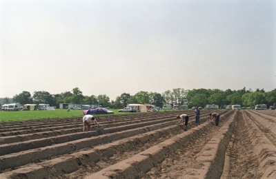  asperges steken naast camping St. Jorishoeve