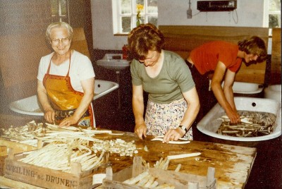 Aspergekwekerij van de familie Verhoeven.