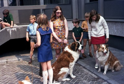 Een Sint-bernard en een Schotse herdershond met hun baasjes bij de huisdierenkeuring voor dierendag in Vught, ca. 1971
