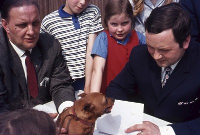 Een hond wordt gekeurd tijdens de huisdierenkeuring voor dierendag. Vught, 1971