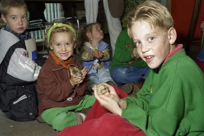 Kinderen houden jonge vogeltjes vast op dierendag. Grave, 1995