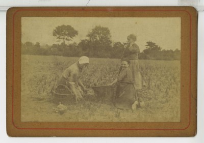 Drie jonge vrouwen gebruiken manden om aardappels in te doen, tijdens het oogsten. Plaats onbekend, 1900-1920