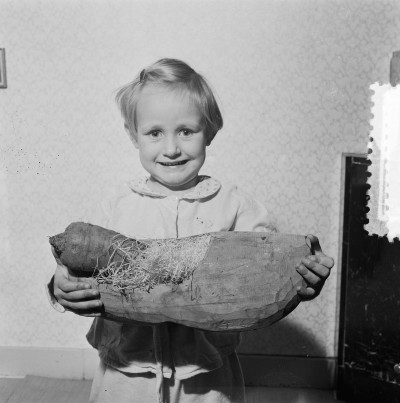 Een meisje zet niet haar schoentje, maar een grote klomp voor Sinterklaas. Erin zit natuurlijk iets lekkers voor het paard: een wortel. Plaats onbekend, 1953