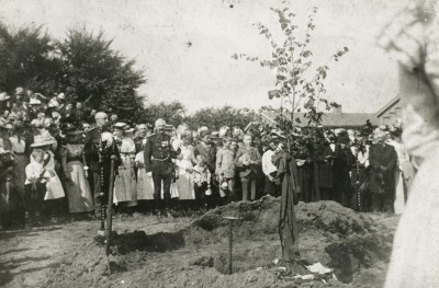 Koningslinde voor de nieuwe vorst