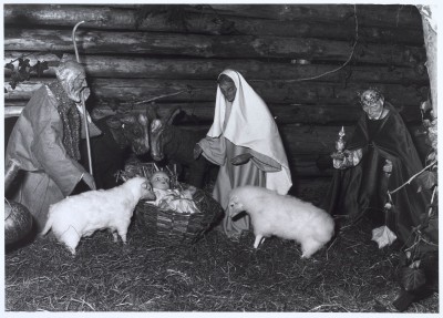 Beeldengroep van de kerststal in de Goirkese Kerk. Tilburg, 1985