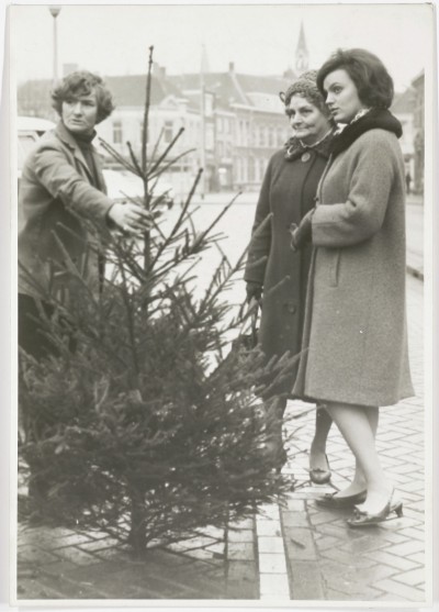 Verkoop van kerstbomen, Breda 1968 (foto: H. Chabot, collectie Stadsarchief Breda nr. 19911380)