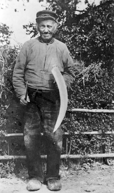 Peter Hegmans met zeis, Oeffelt ca. 1912 (foto: Andries Nielen, collectie BHIC nr. DCVAR-000928)