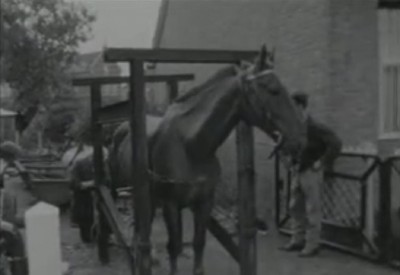 Filmstill uit Dorpsfilm Halsteren, 1965 (collectie West-Brabants Archief nr. BGMON00201)