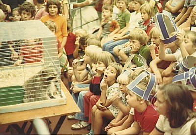 Kijken naar de wasbeer op Wonderland, Eindhoven 1976 (foto: Stichting Eindhovens vakantiecomité, collectie RHC Eindhoven nr. 0006248)