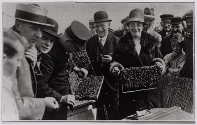 Bezoekers bewonderen honingraten. Tilburg, 1928