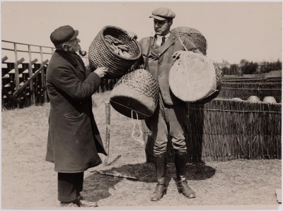 Het bekijken van bijenkorven op de bijenmarkt. Tilburg, 1929