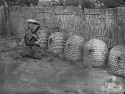 Een jonge imker met beschermende kleding bij de bijenkorven. Tilburg, 1932