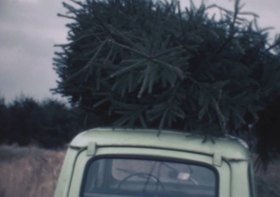 Kerstboom op auto