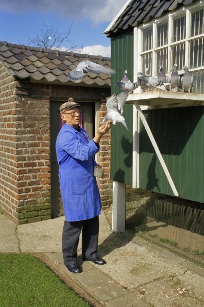 Duivenmelker met duiven