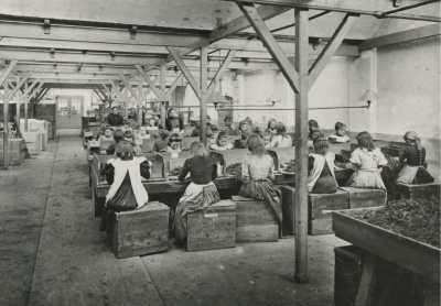 Stgripperij in 1905