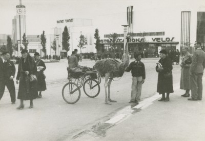 De wereldtentoonstelling in Brussel (1935)