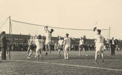 Volleybal