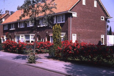 Bloeiende rozentuin straatbeeld Vught