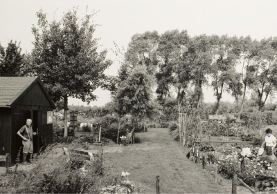 Volkstuin De Donselaar