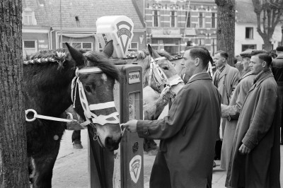 Paarden staan vastgebonden aan benzinepomp van merk 'Purfina' tijdens de paardenmarkt op de Heuvel, Oss (foto: Daan Scholte, collectie Oss nr. DSN1366_44992)