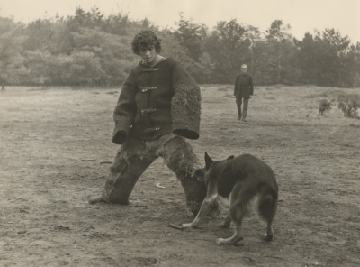 Aanvallen van persoon in beschermpak, door politiehond Kay in Helmond, 1976.