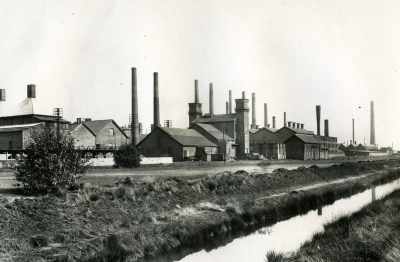 Zinc de la Campine