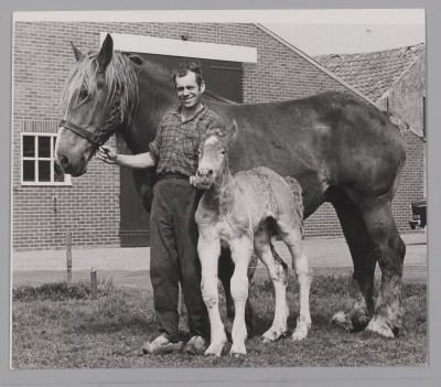 Chaam, H. v.d. Broek met paard en veulen (1972)