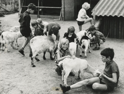 Voeren van dieren in Philips van Lenneppark 1969