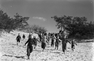 Ravotten in het zand na het eieren bedelen, Helvoirt 1957 (foto: Fotopersbureau Het Zuiden, collectie BHIC nr. 1631-000324)