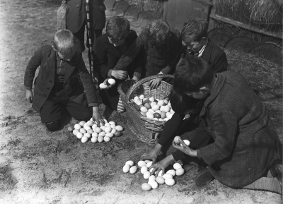 Eieren worden verdeeld, Helvoirt 1939 (foto: Fotopersbureau Het Zuiden, collectie BHIC nr. 1631-000786)