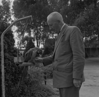 Animali 1961