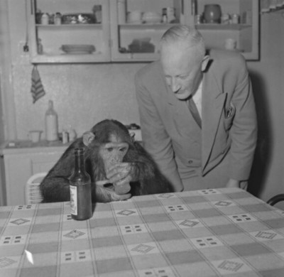 Animali 1961